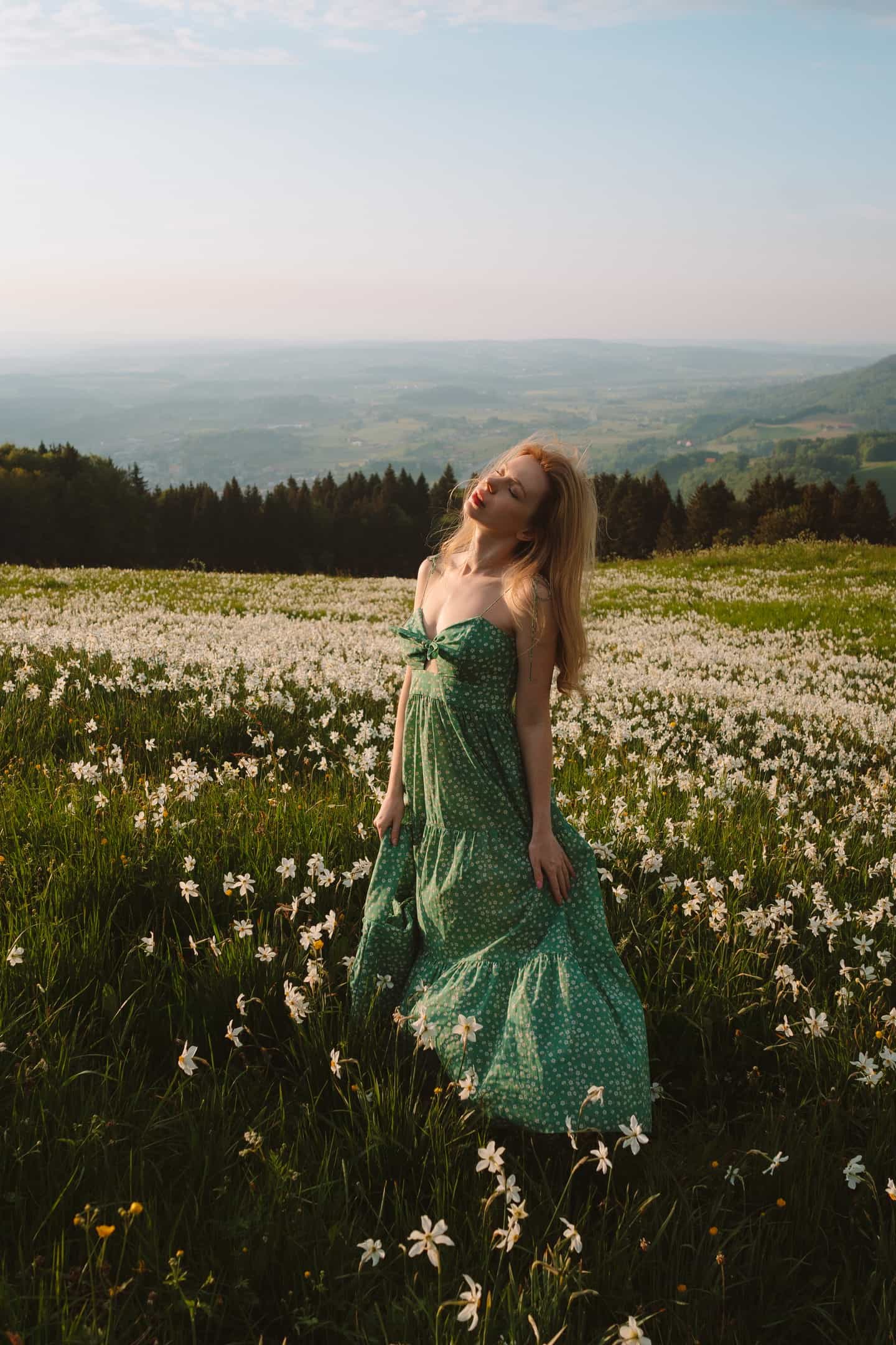 Meadow Whisper Dress image featured